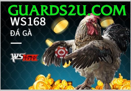 Cách Đọc Kèo Đá Gà